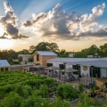 The Ultimate Guide to Pet-Friendly Wine Tours in Harris County, Texas