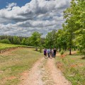 The Ultimate Guide to Wine Tours in Harris County, Texas