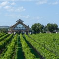 Expert Insights: Navigating the Cancellation Policy for Wine Tours in Harris County, Texas