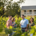 Discovering the Best Wine Tours in Harris County, Texas