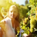 The Ultimate Guide to Wine Tours in Harris County, Texas