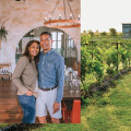 The Insider's Guide to Wine Tours in Harris County, Texas