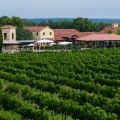 The Ultimate Guide to Wine Tours in Harris County, Texas