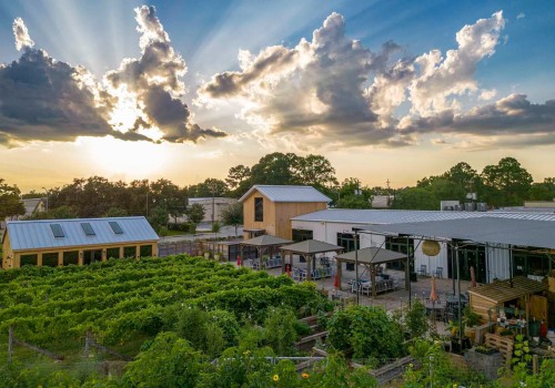 The Ultimate Guide to Pet-Friendly Wine Tours in Harris County, Texas