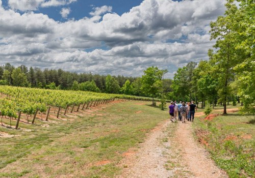The Ultimate Guide to Wine Tours in Harris County, Texas