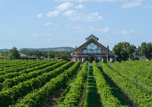 Expert Insights: Navigating the Cancellation Policy for Wine Tours in Harris County, Texas