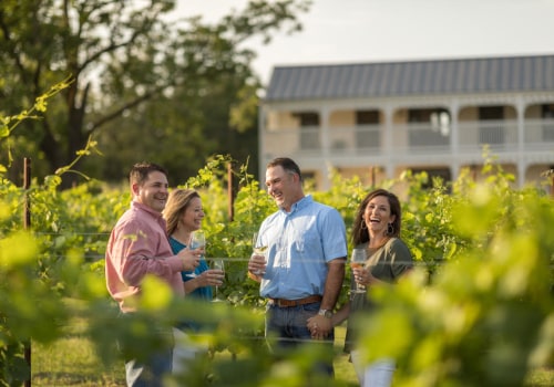 Discovering the Best Wine Tours in Harris County, Texas