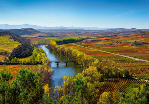 Uncovering the Educational Aspects of Wine Tours in Harris County, Texas