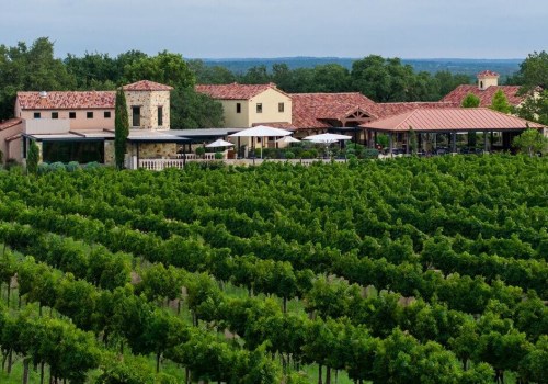 The Ultimate Guide to Wine Tours in Harris County, Texas